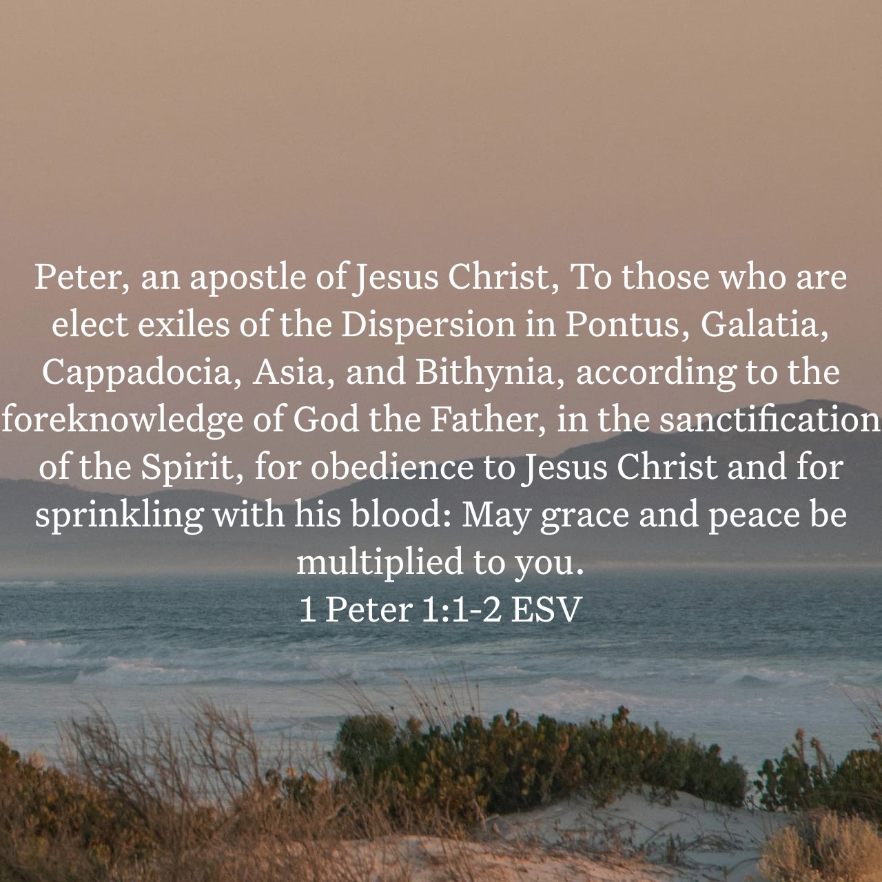 1 Peter 1:1-2.jpg