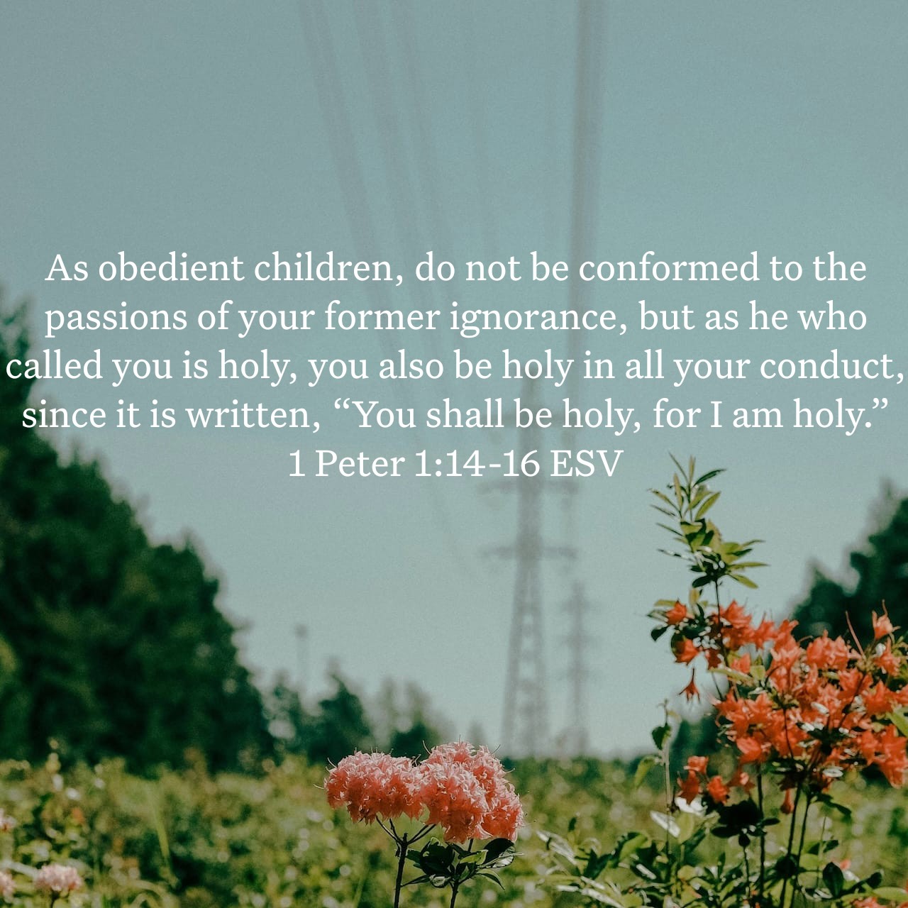 1 Peter 1:14-16.jpg