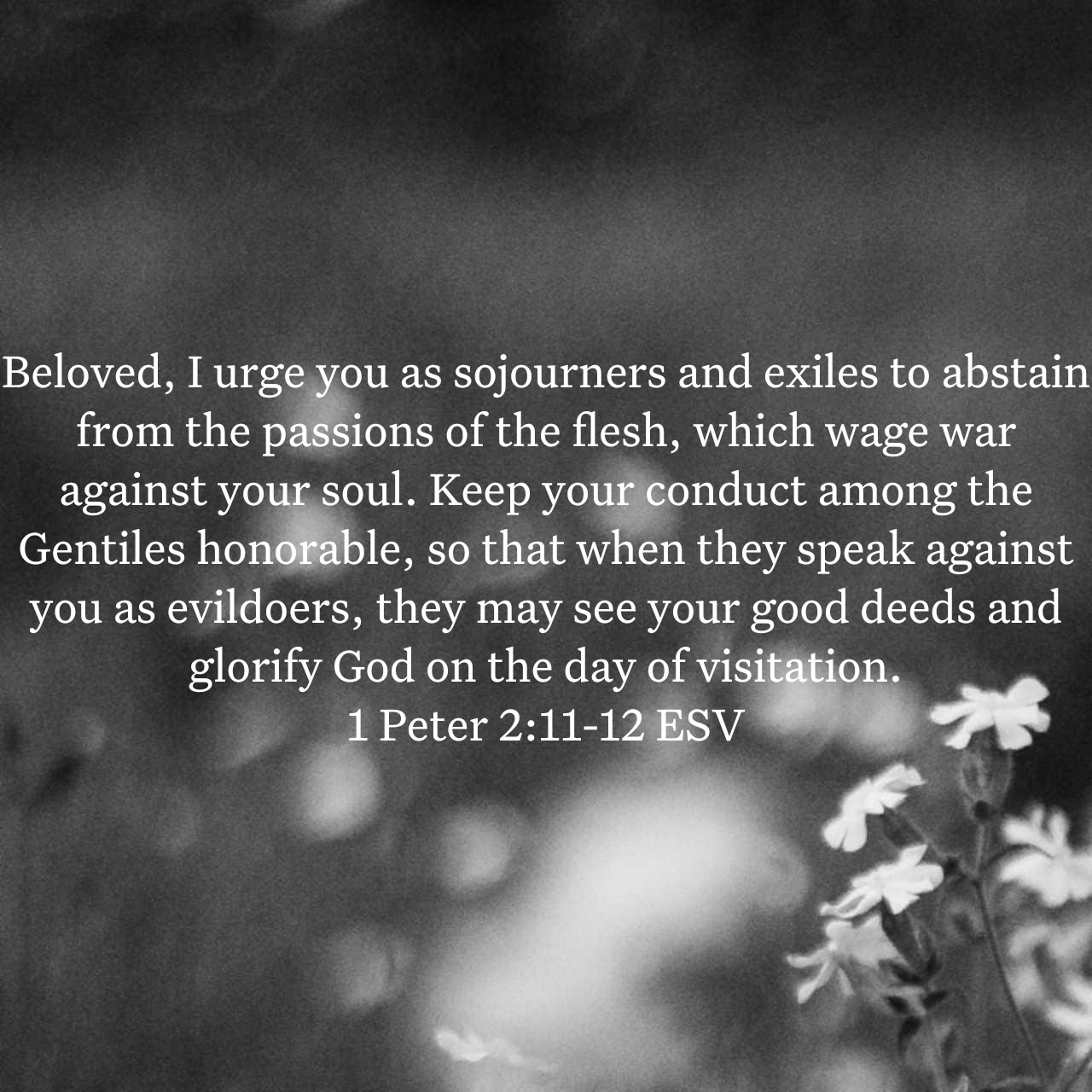 1 Peter 2:11-12.jpg