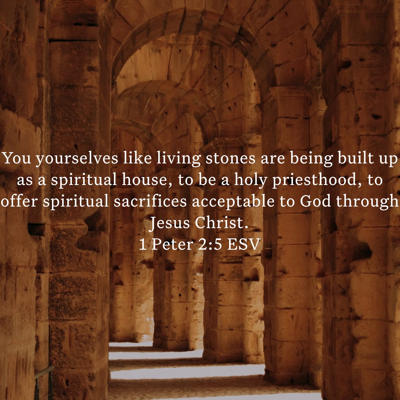 1 Peter 2:5.jpg