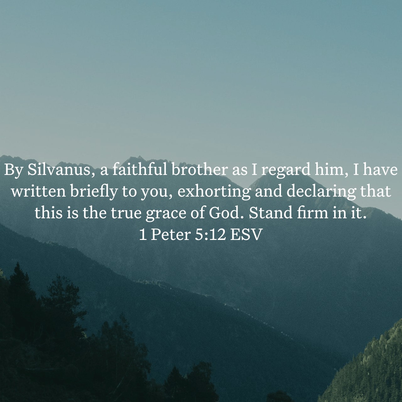 1 Peter 5:12.jpg