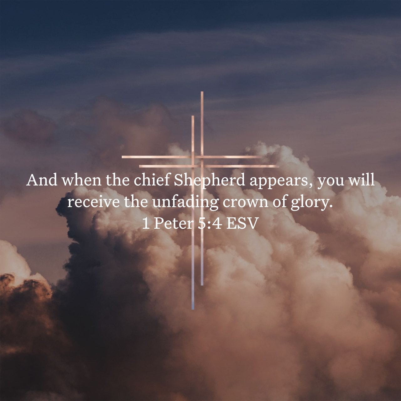 1 Peter 5:4.jpg