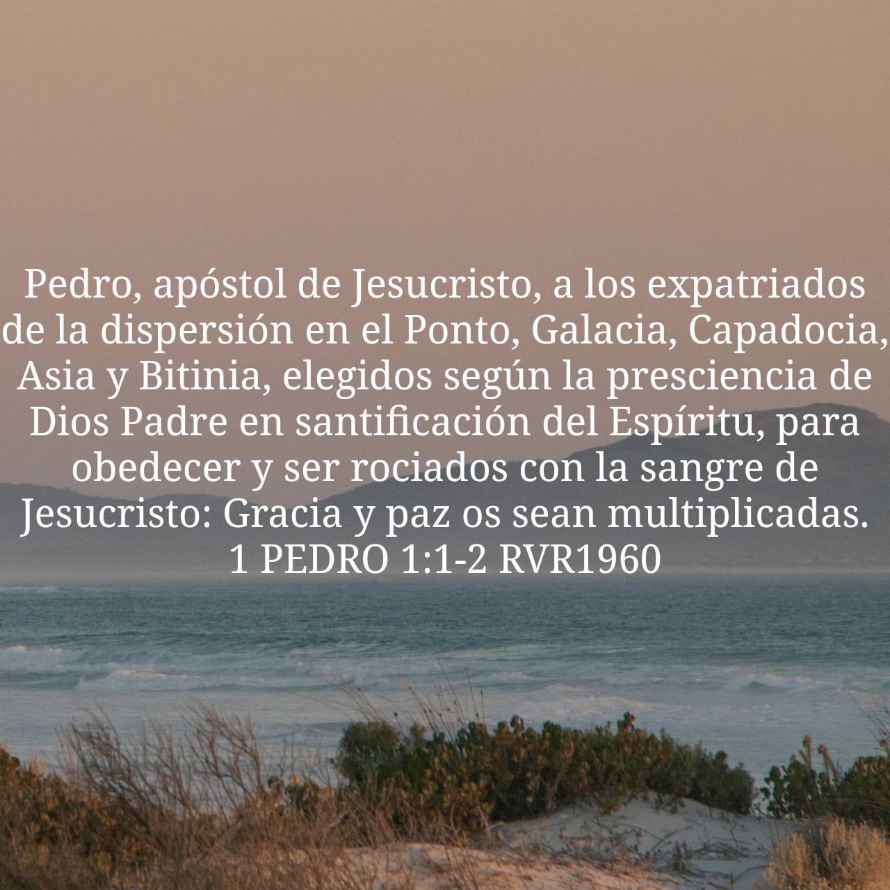 1 Peter 1:1-2.jpg