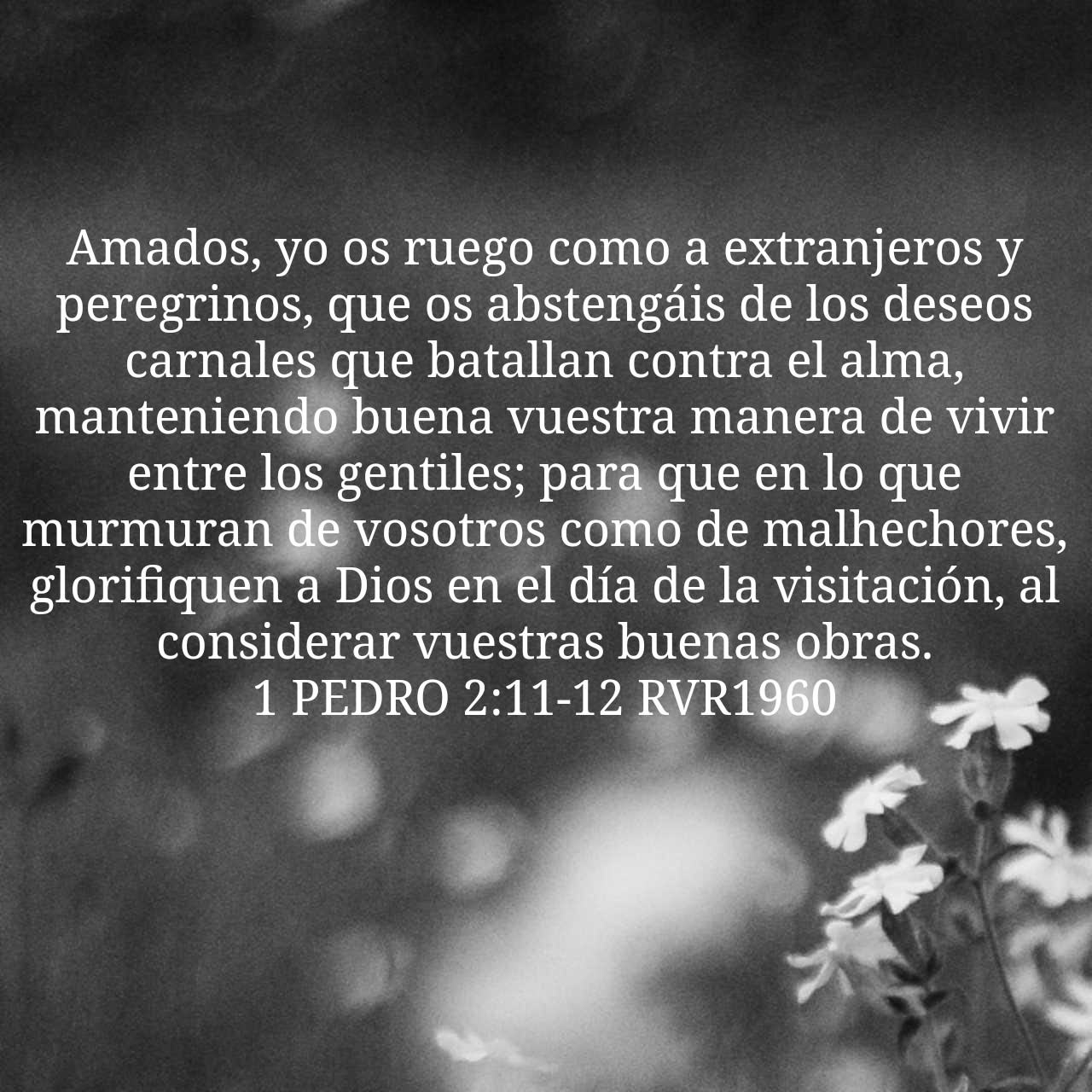 1 Peter 2:11-12.jpg