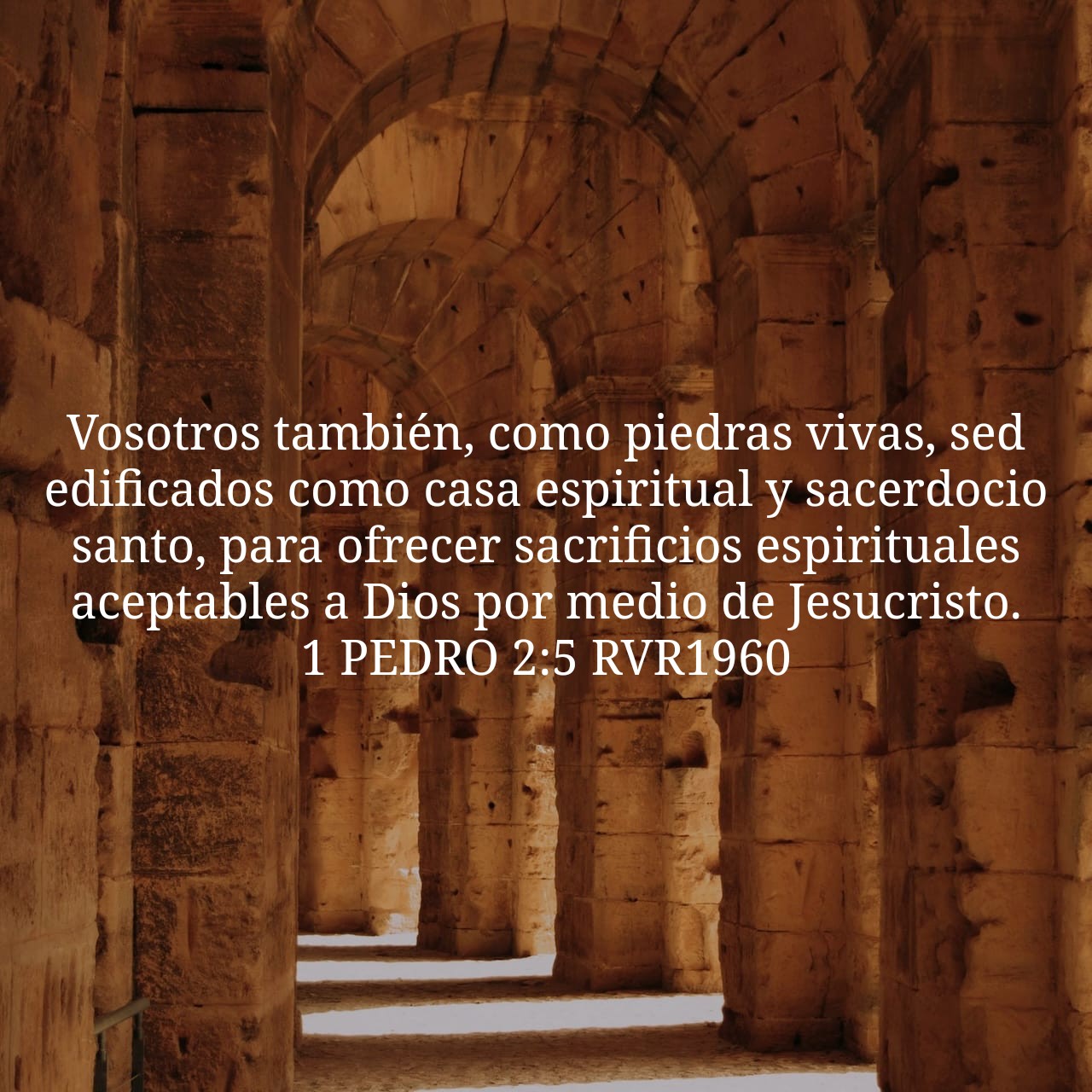 1 Peter 2:5.jpg