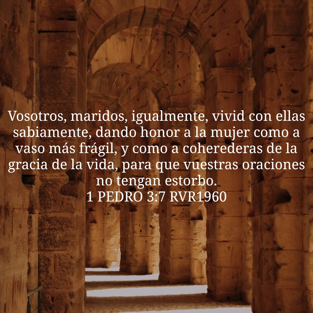 1 Peter 3:7.jpg