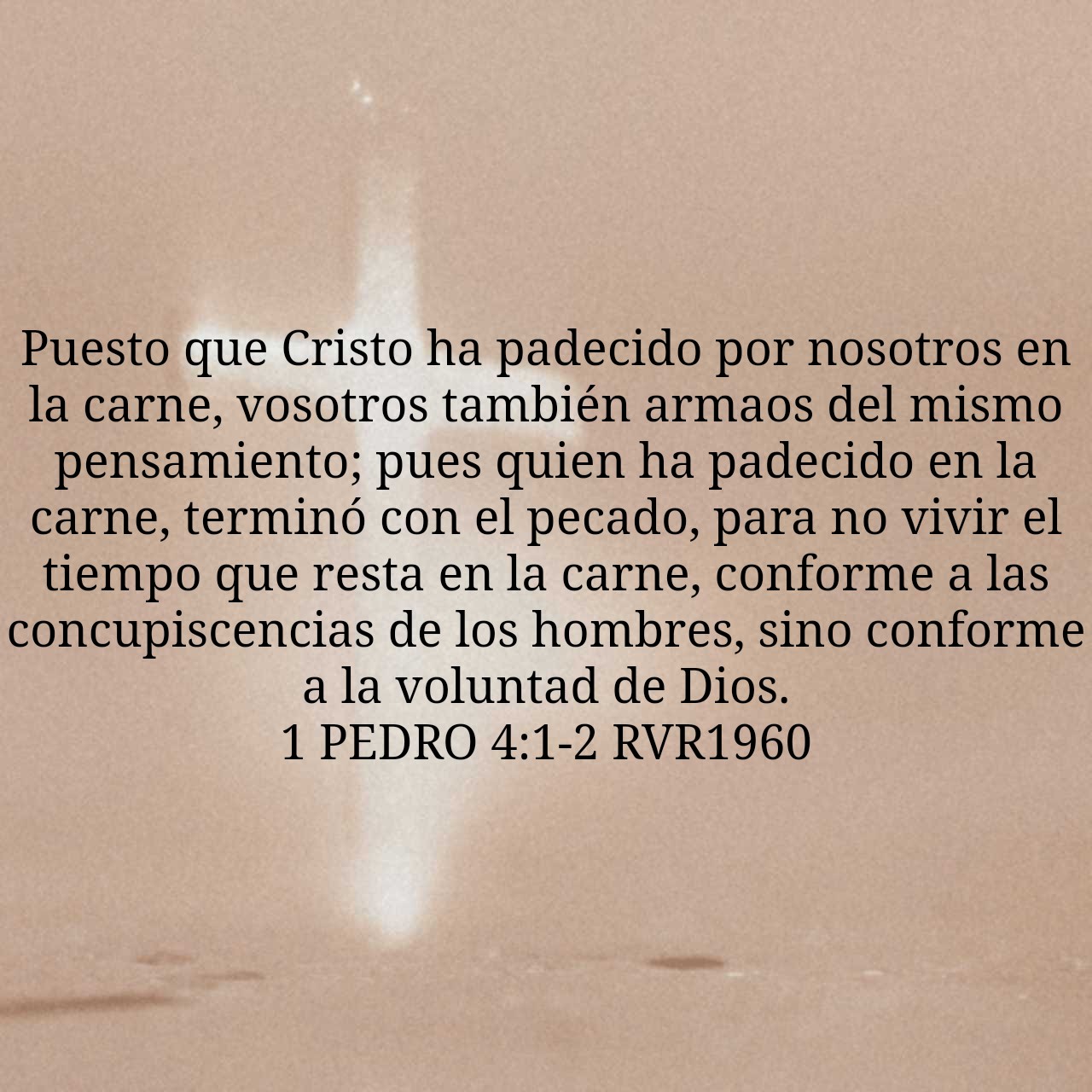 1 Peter 4:1-2.jpg