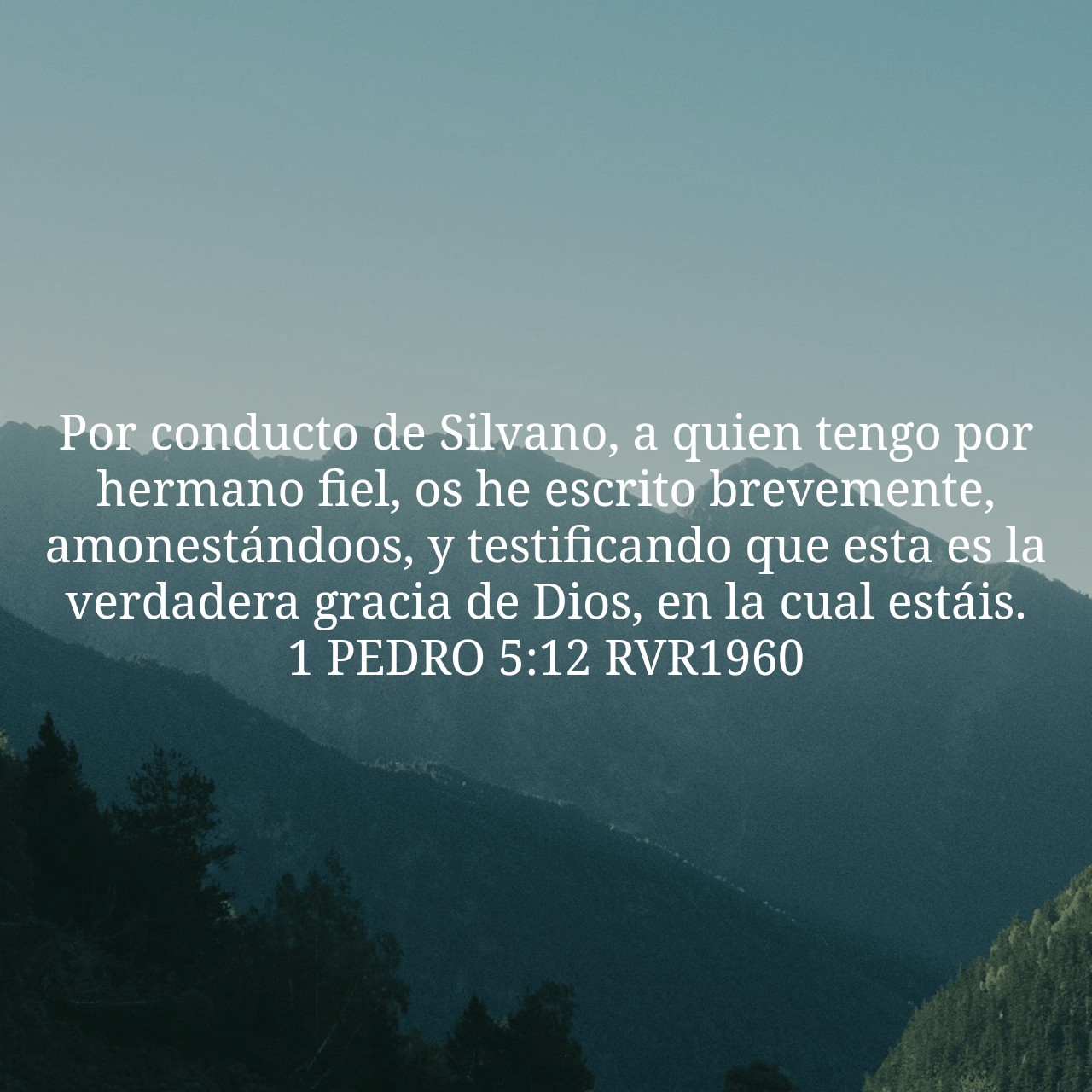 1 Peter 5:12.jpg