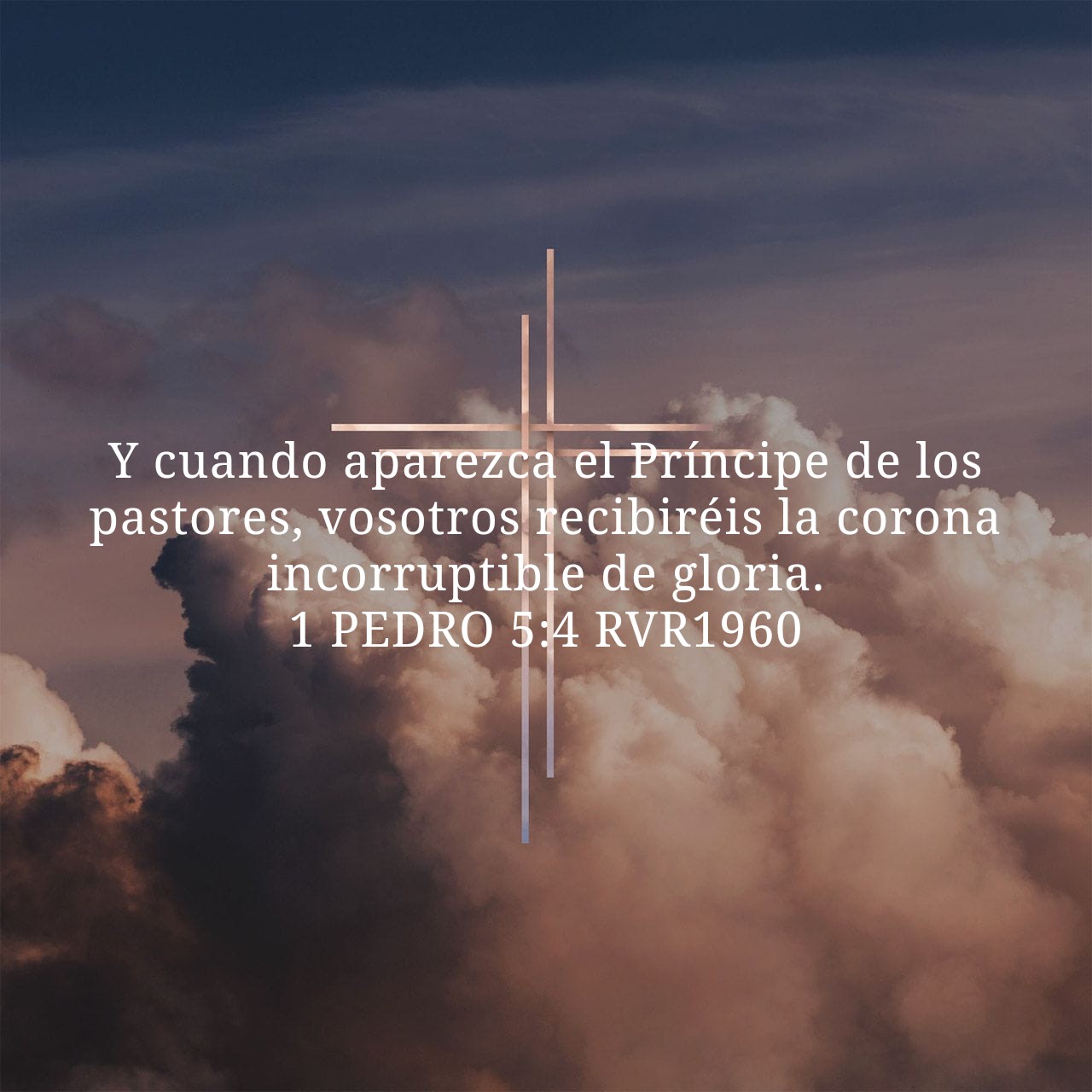 1 Peter 5:4.jpg