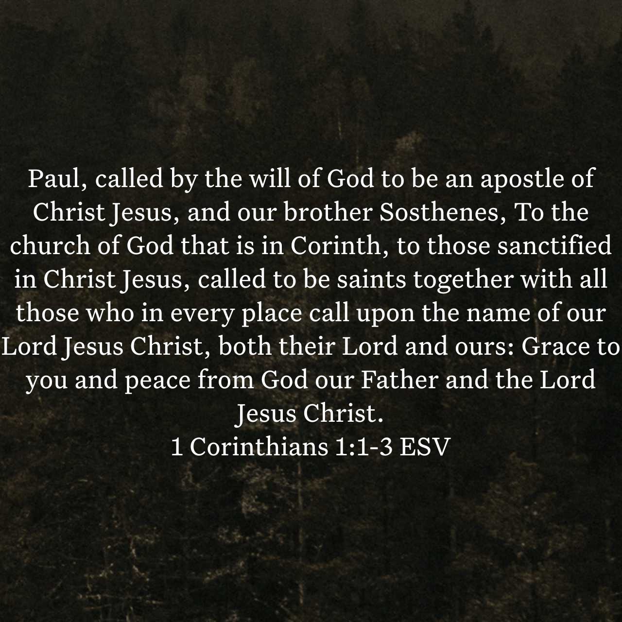 1 Corinthians 1:1-3.jpg