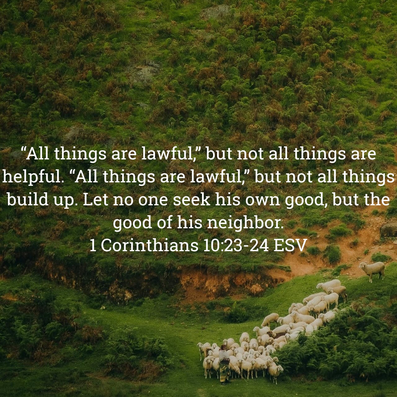 1 Corinthians 9:7.jpg