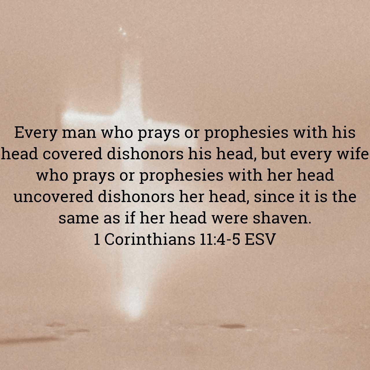 1 Corinthians 11:4-5.jpg