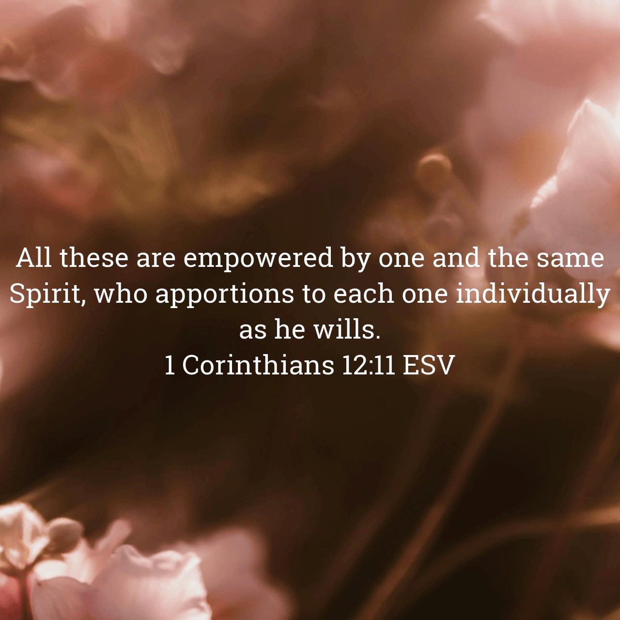 1 Corinthians 12:11.jpg
