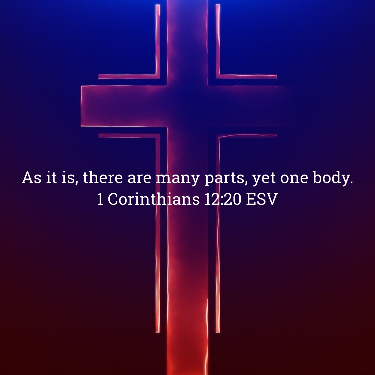 1 Corinthians 12:20.jpg