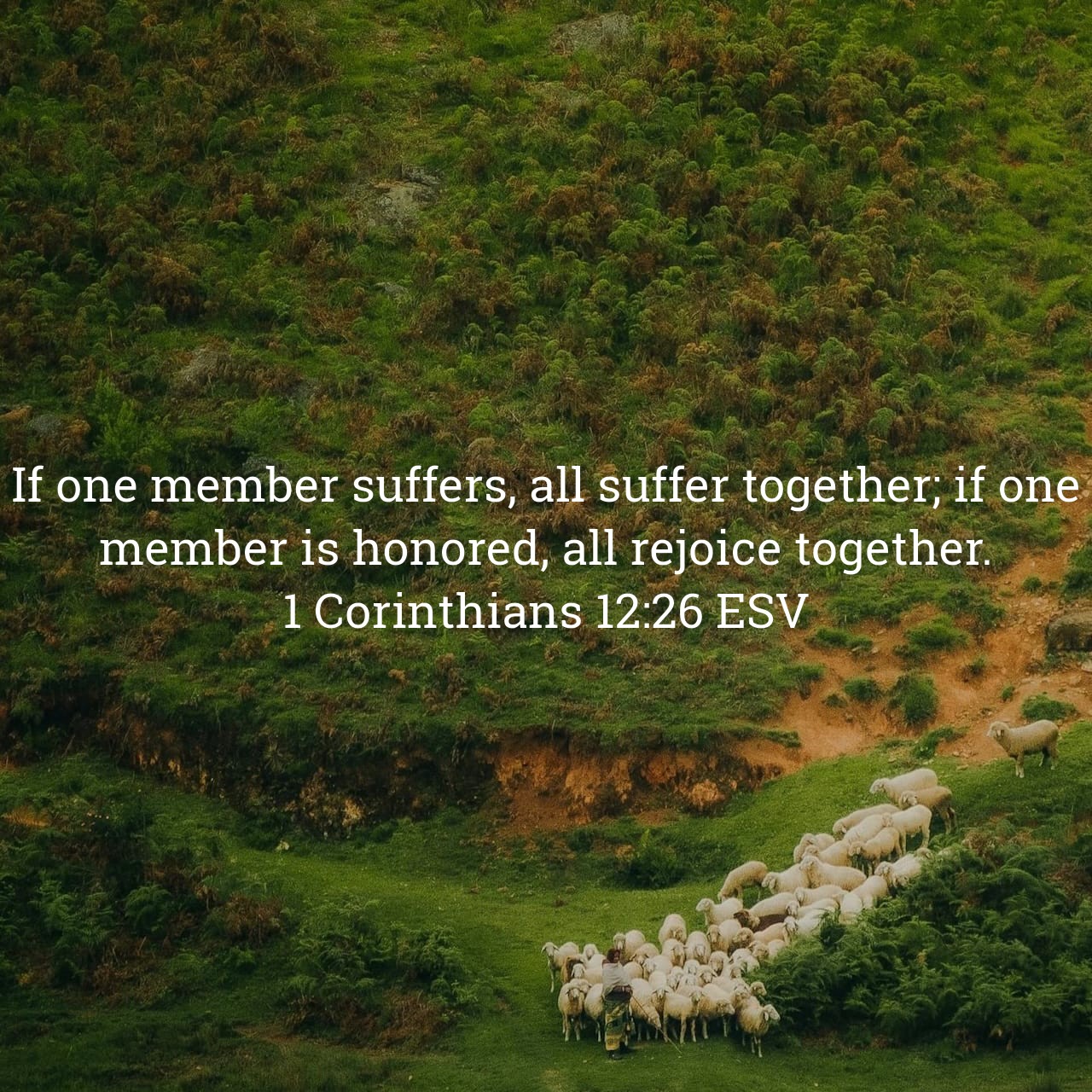 1 Corinthians 12:26.jpg