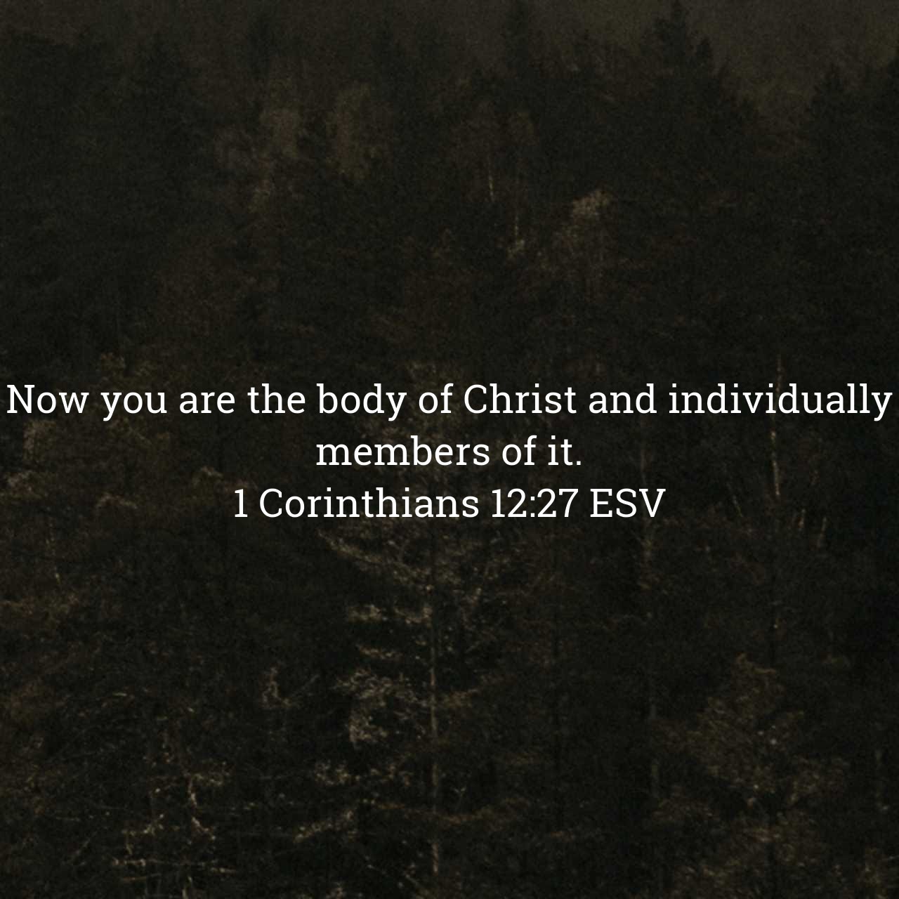 1 Corinthians 12:27.jpg