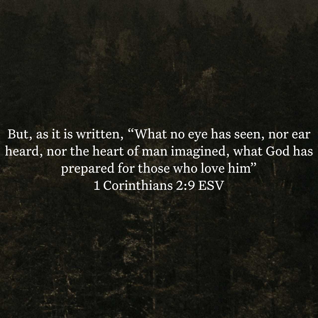 1 Corinthians 2:9.jpg