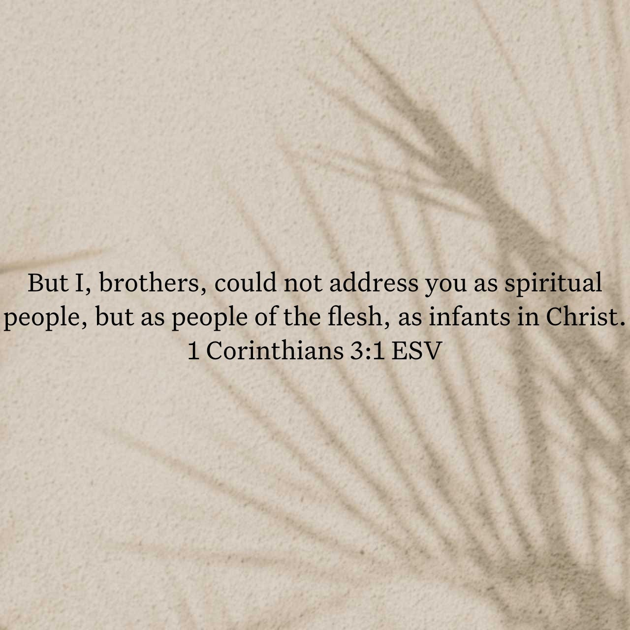 1 Corinthians 3:1.jpg