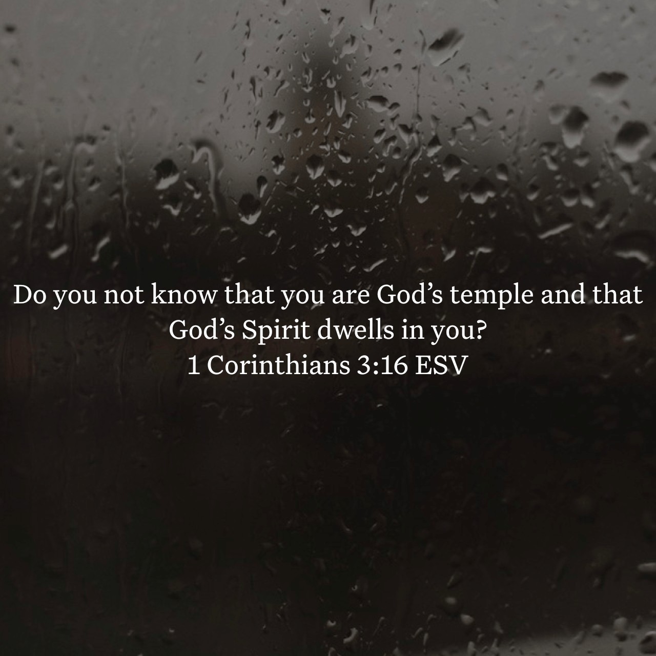 1 Corinthians 3:16.jpg