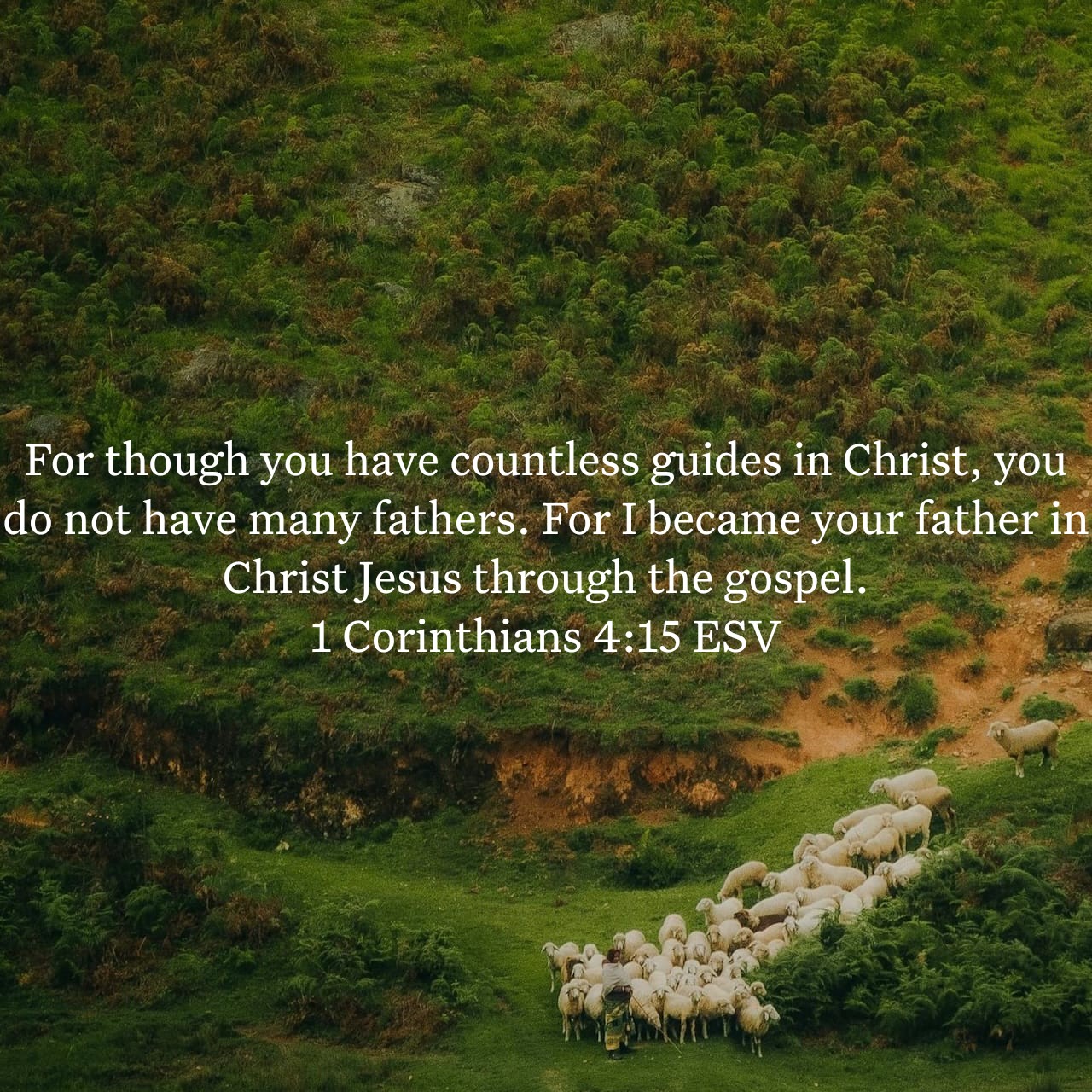 1 Corinthians 4:15.jpg