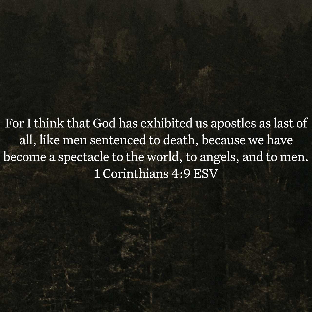 1 Corinthians 4:9.jpg