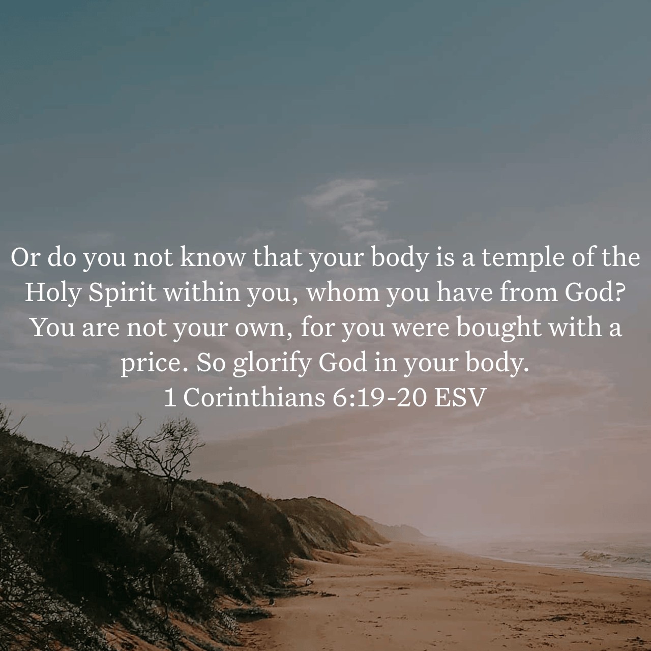 1 Corinthians 6:19-20.jpg