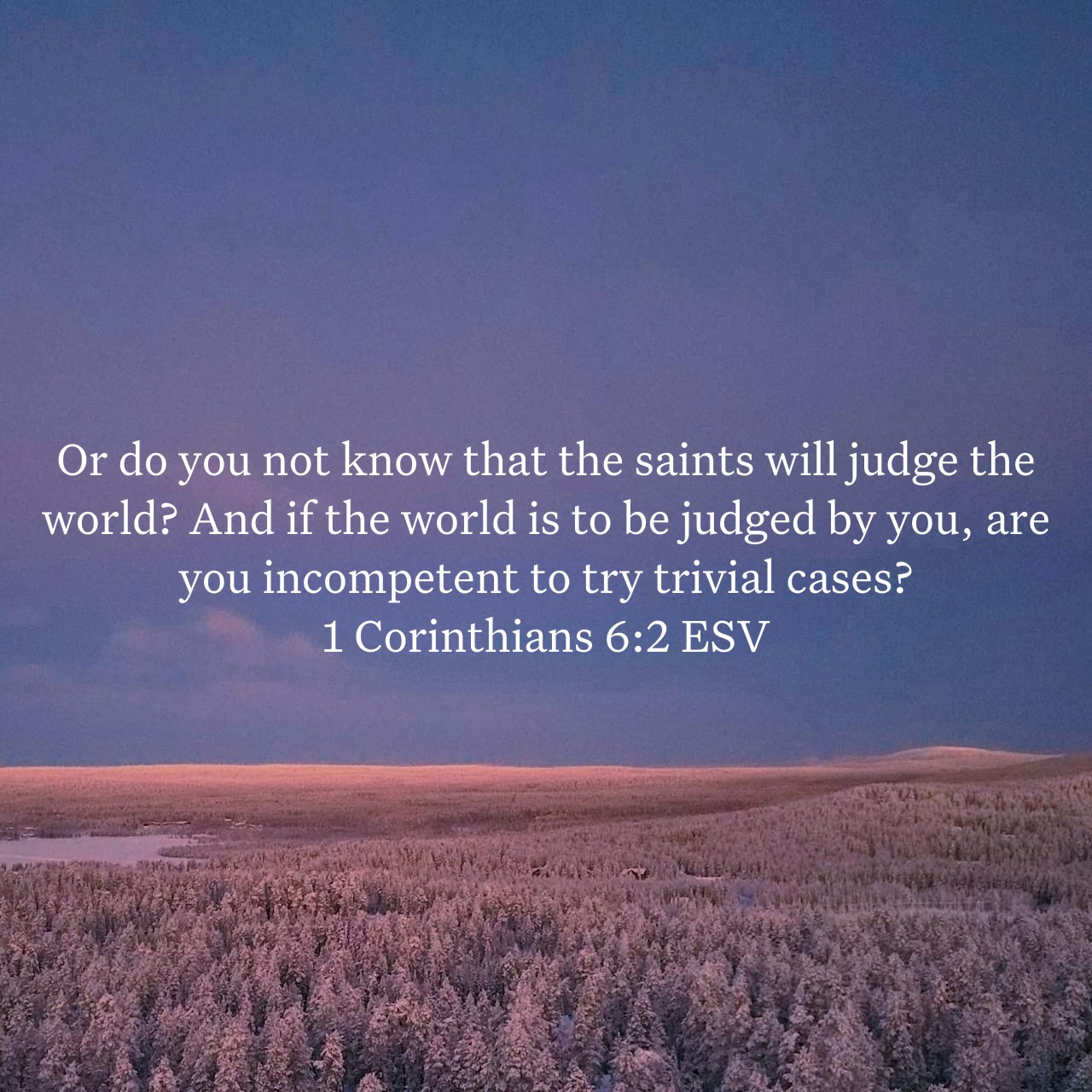 1 Corinthians 6:2.jpg