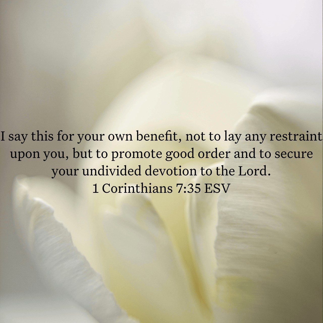 1 Corinthians 7:35.jpg