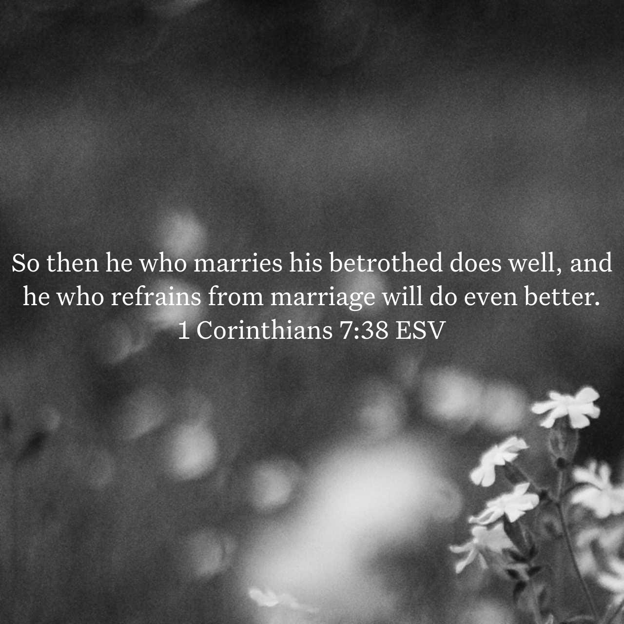 1 Corinthians 7:38.jpg