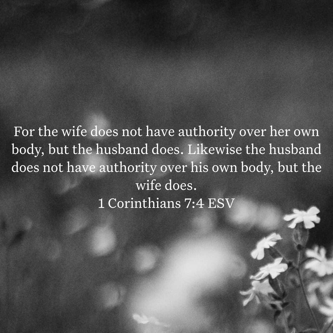1 Corinthians 7:4.jpg