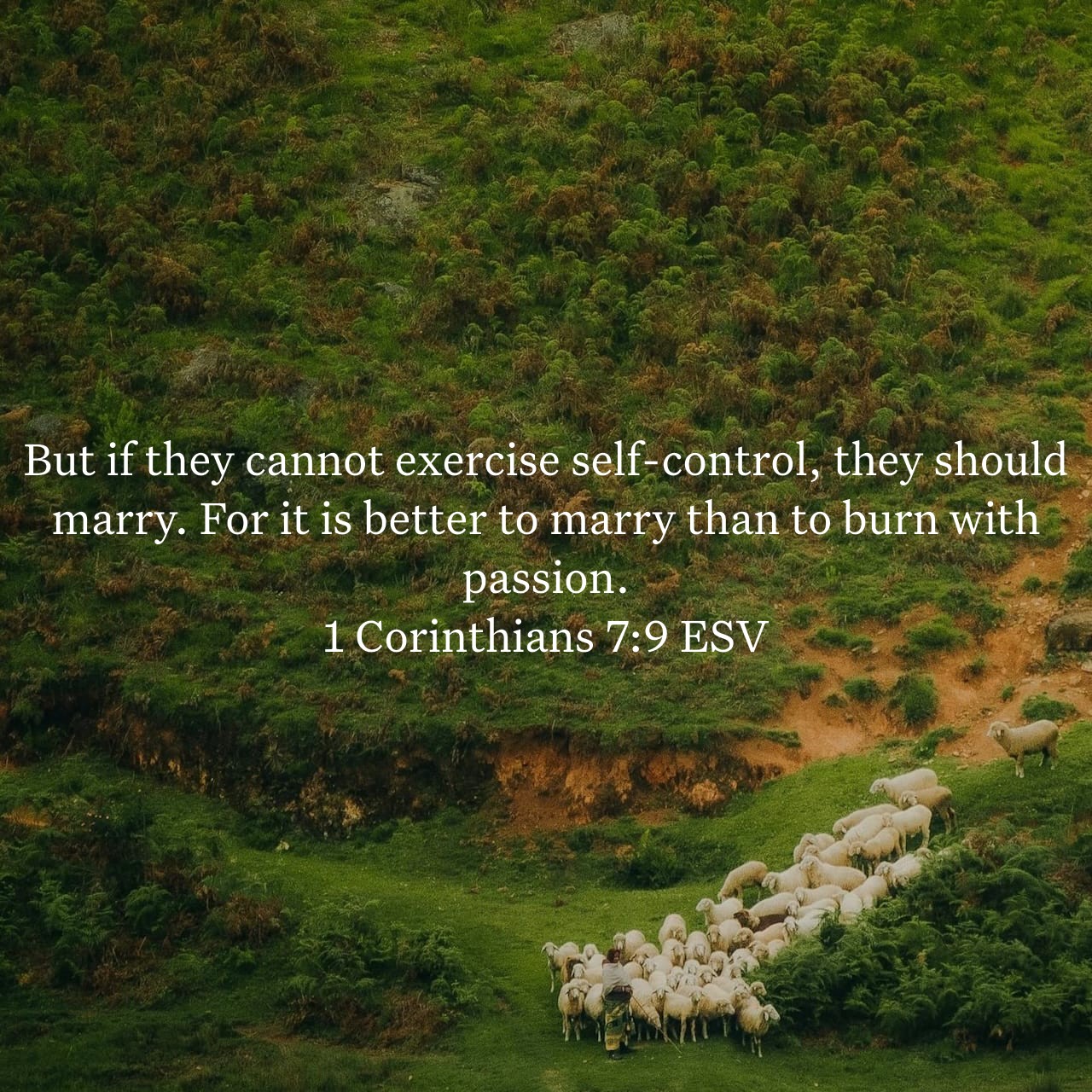 1 Corinthians 7:9.jpg