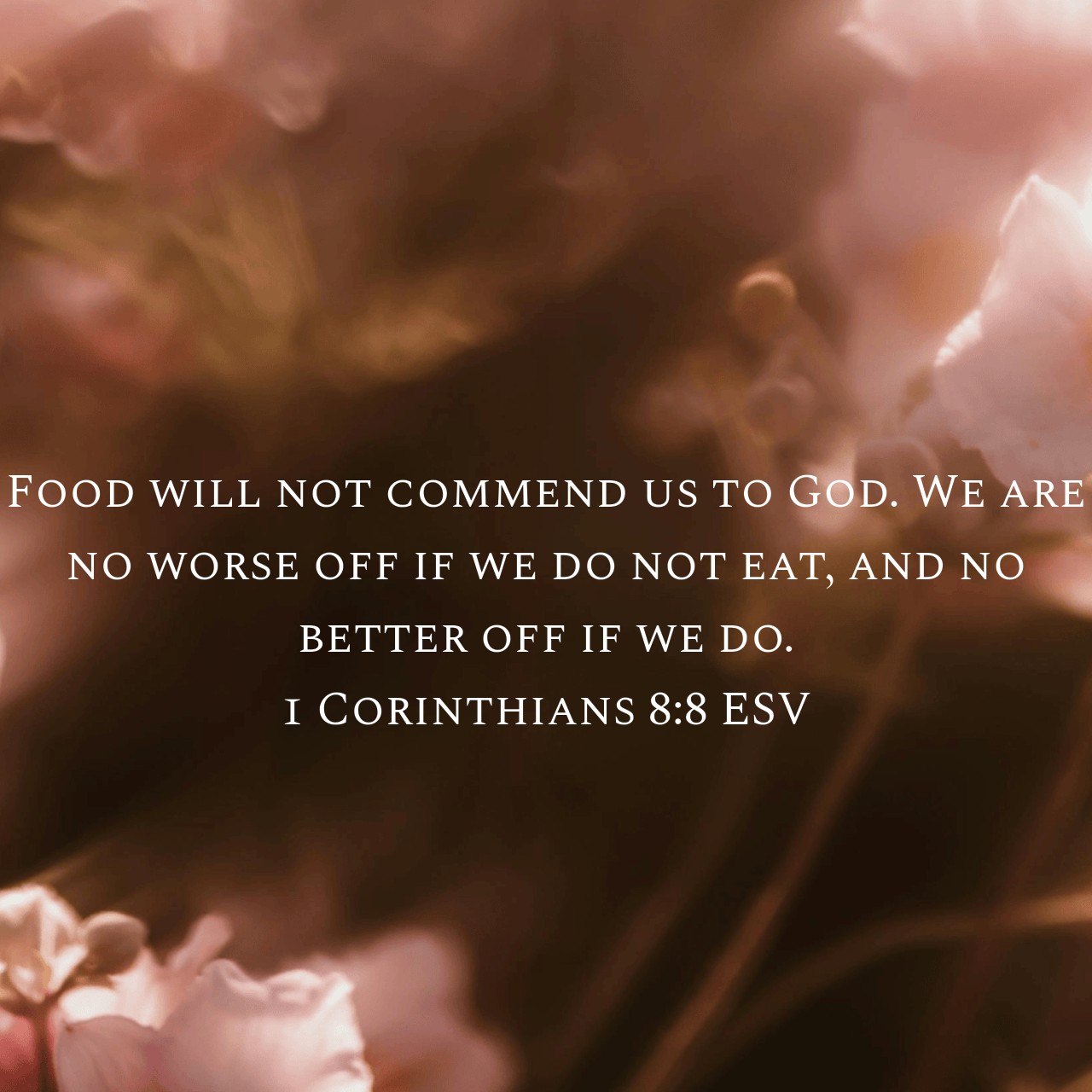 1 Corinthians 8:8.jpg