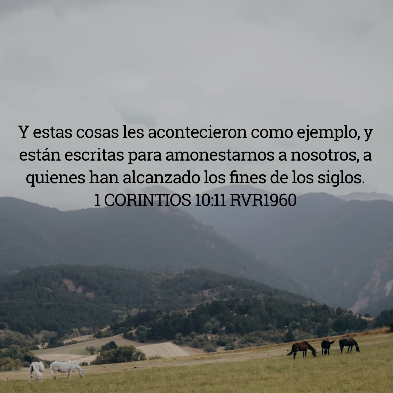 1 Corintios 9:11.jpg