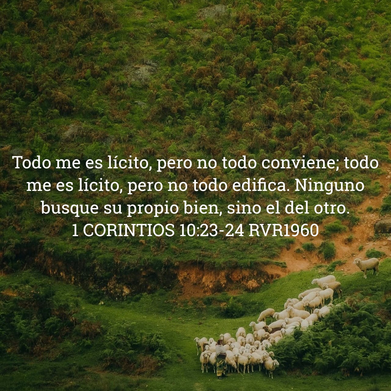 1 Corintios 9:11.jpg