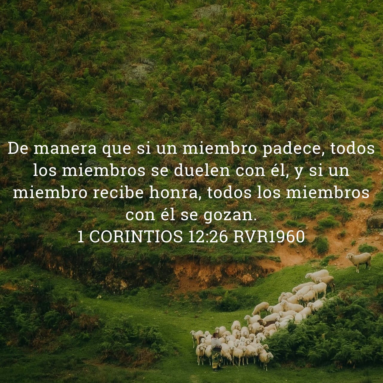 1 Corintios 12:26.jpg