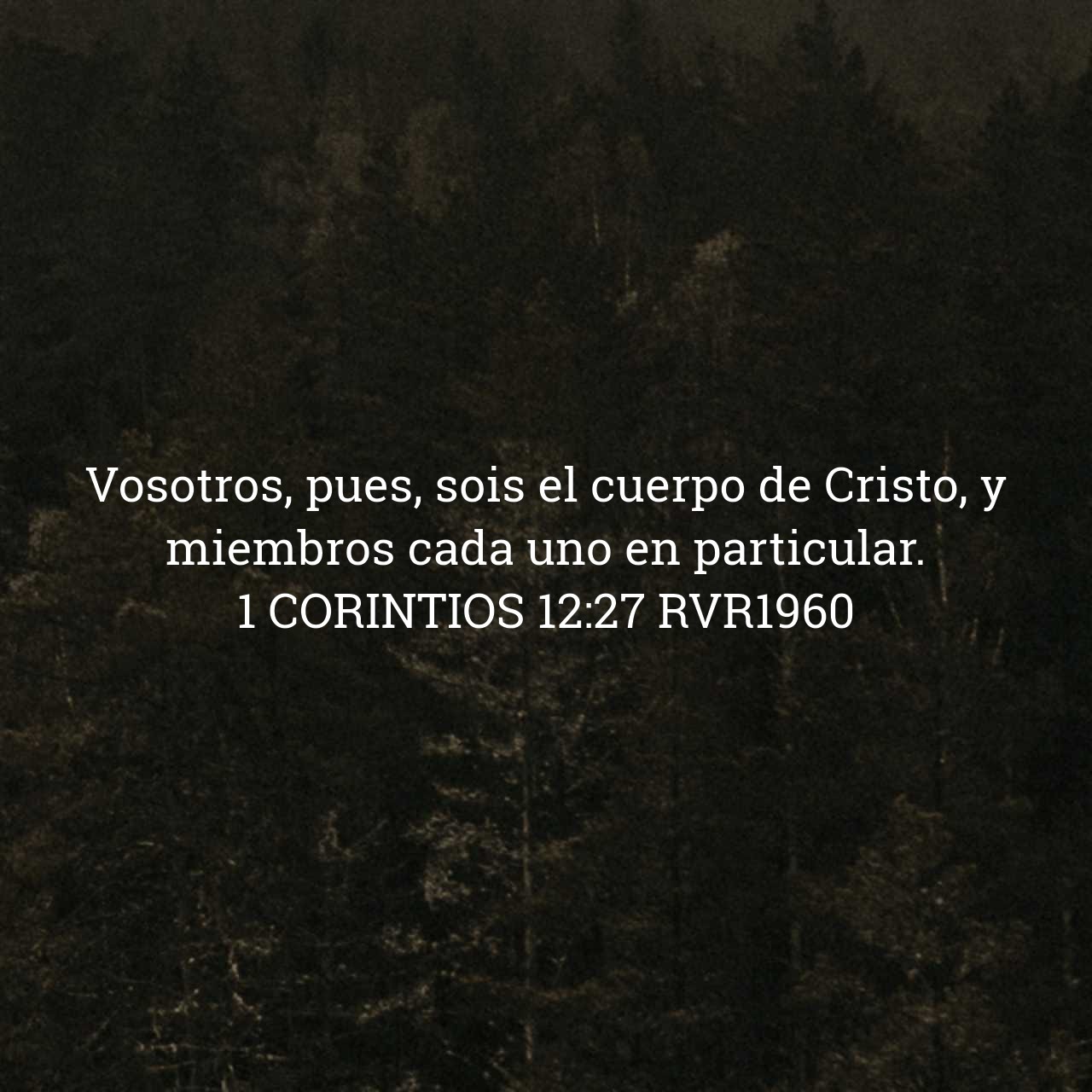 1 Corintios 12:27.jpg