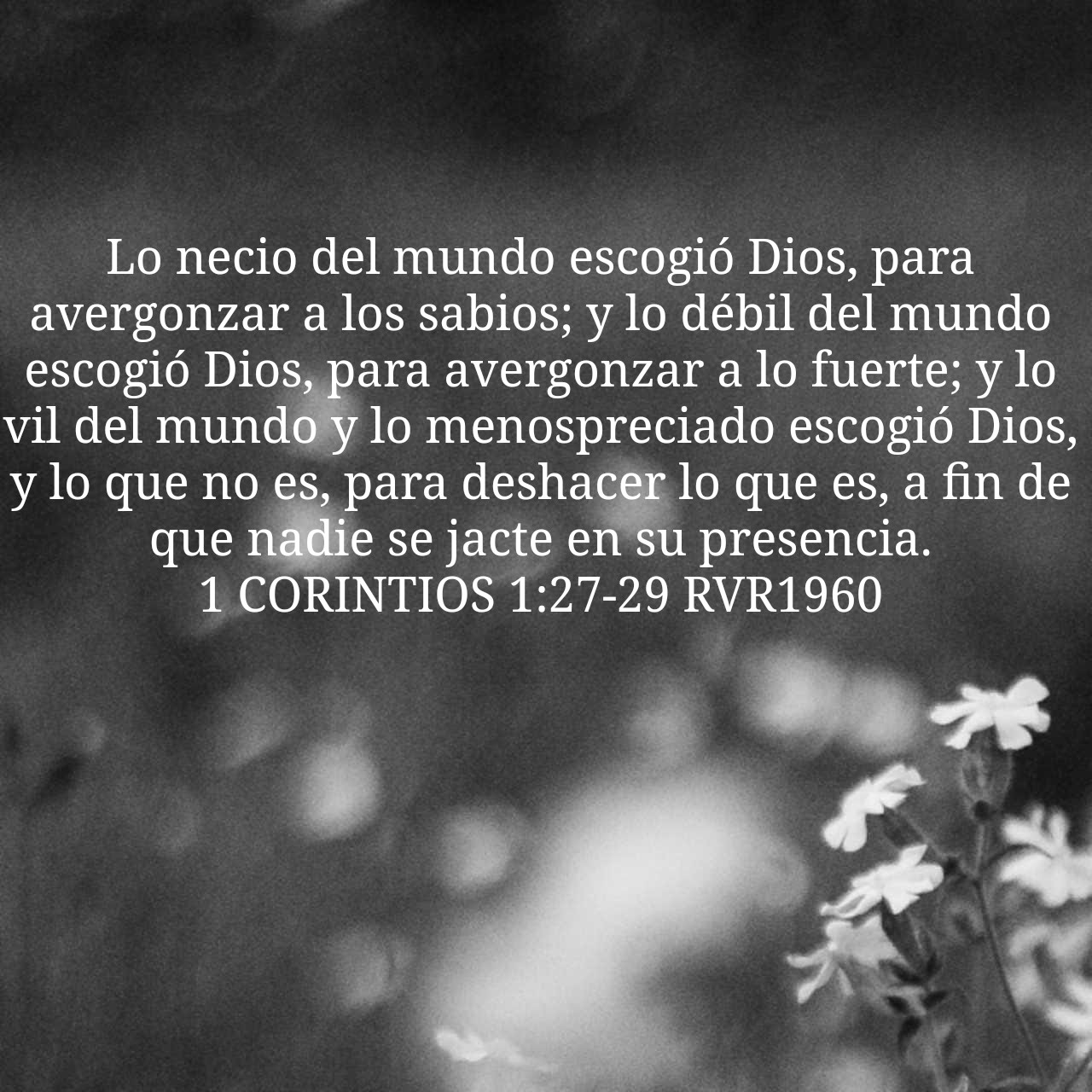 1 Corintios 1:27-29.jpg