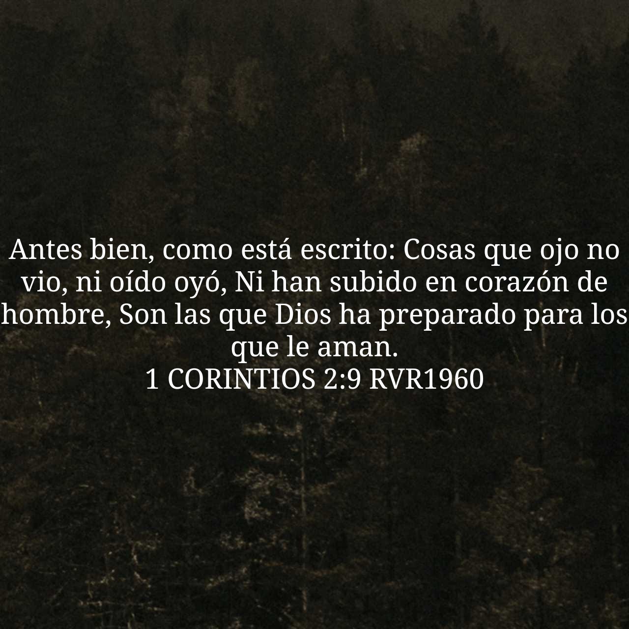 1 Corintios 2:9.jpg
