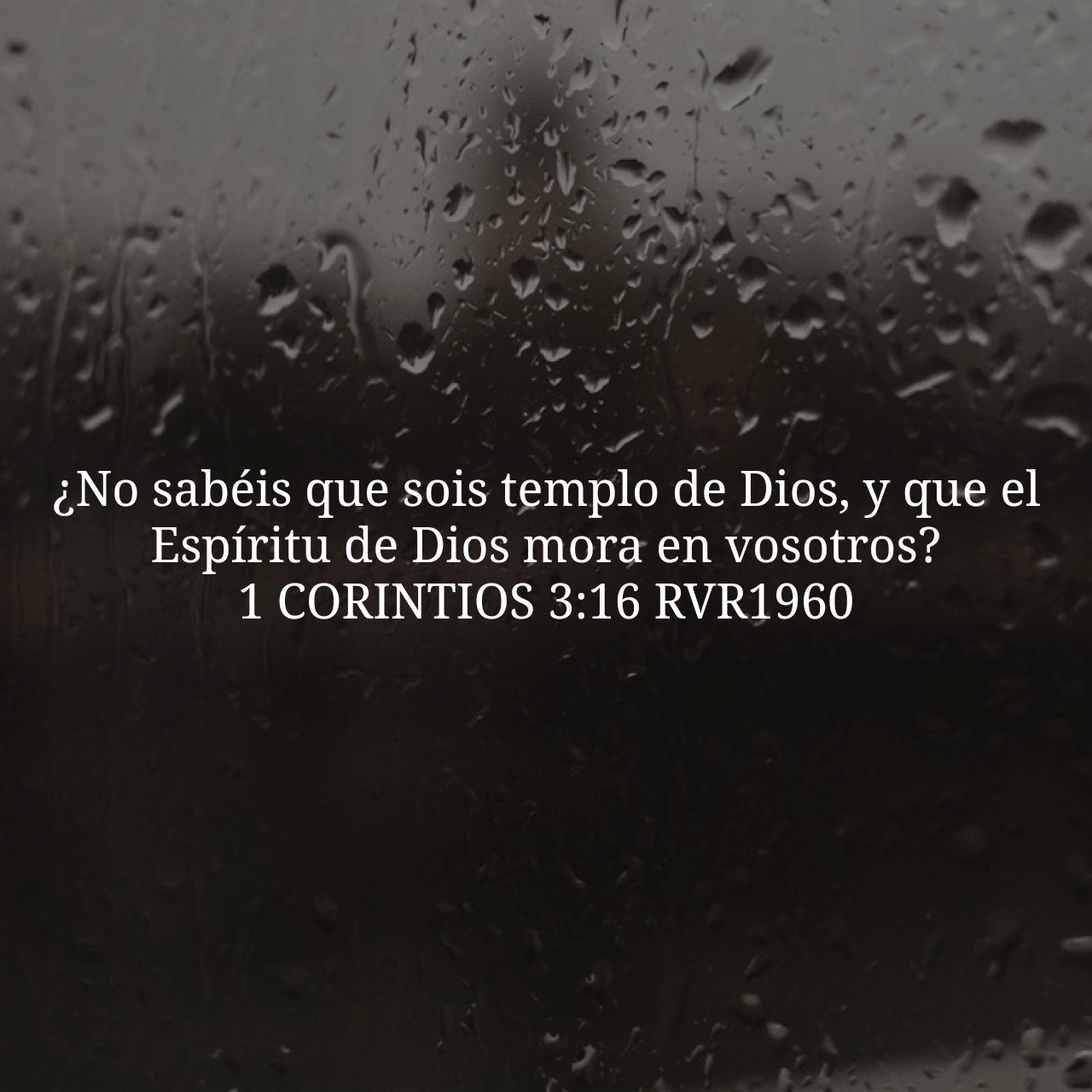 1 Corintios 3:16.jpg