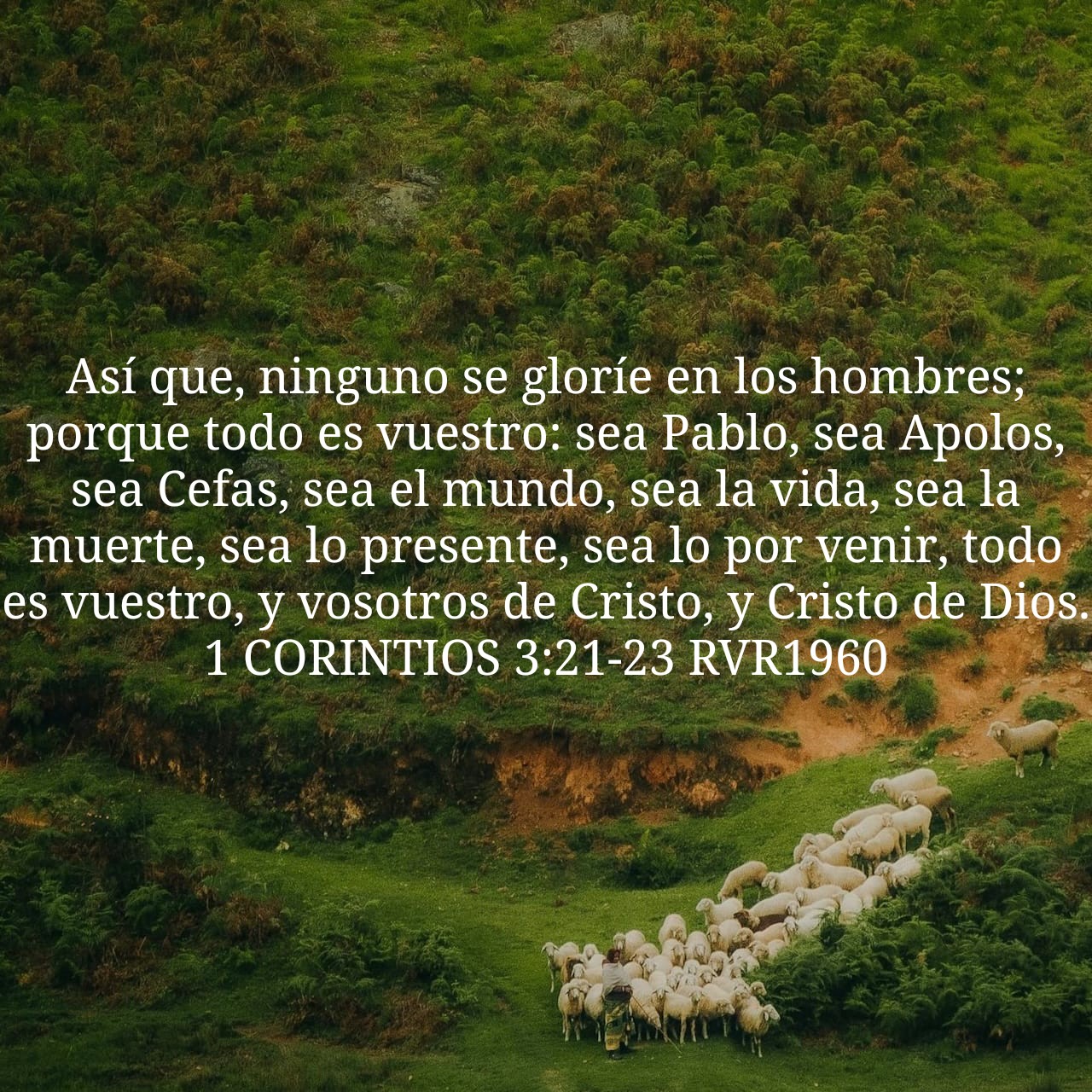 1 Corintios 3:21-23.jpg