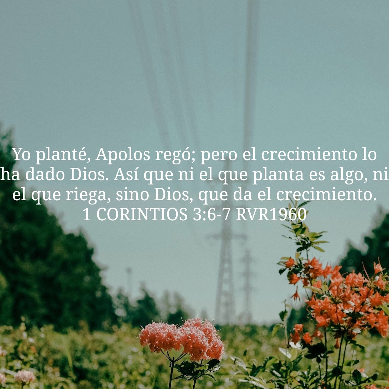 1 Corintios 3:6-7.jpg