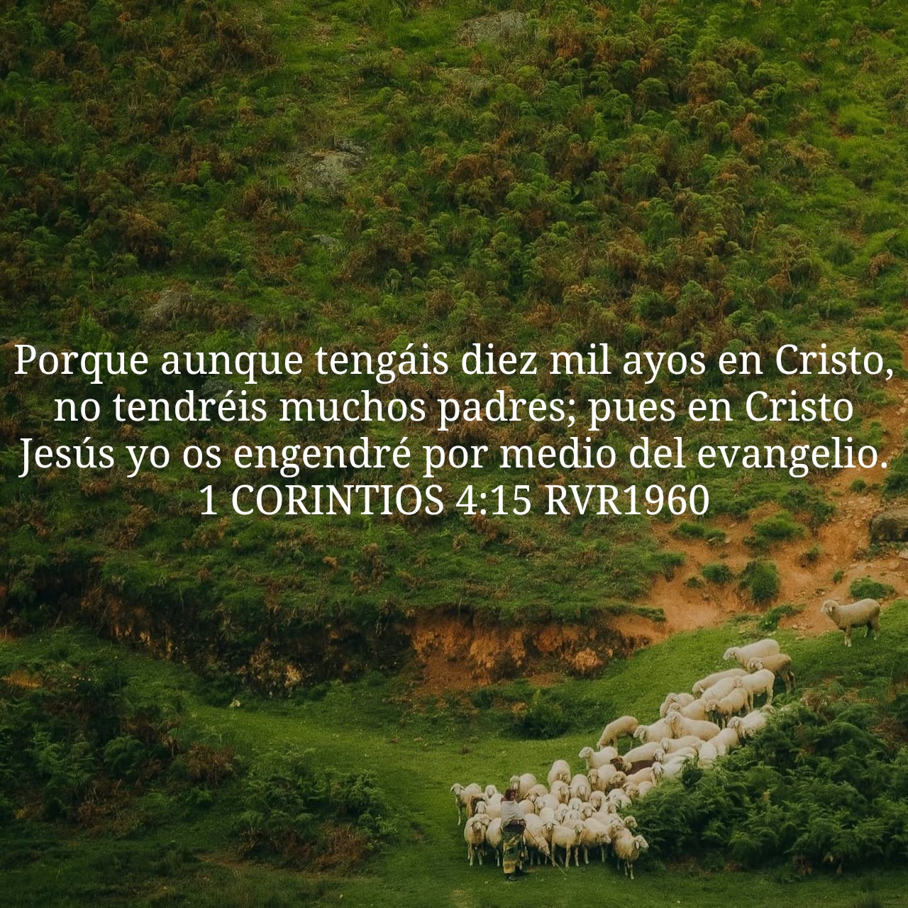 1 Corintios 4:15.jpg