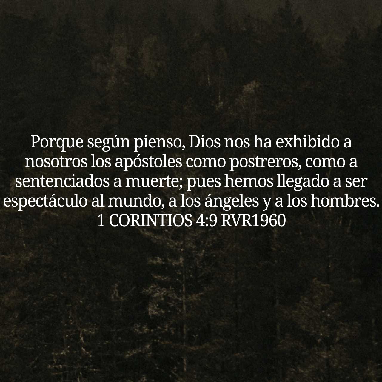 1 Corintios 4:9.jpg
