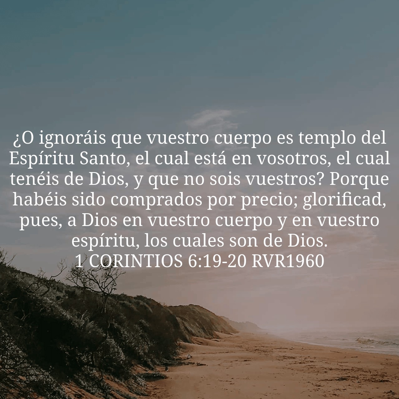 1 Corintios 6:19-20.jpg