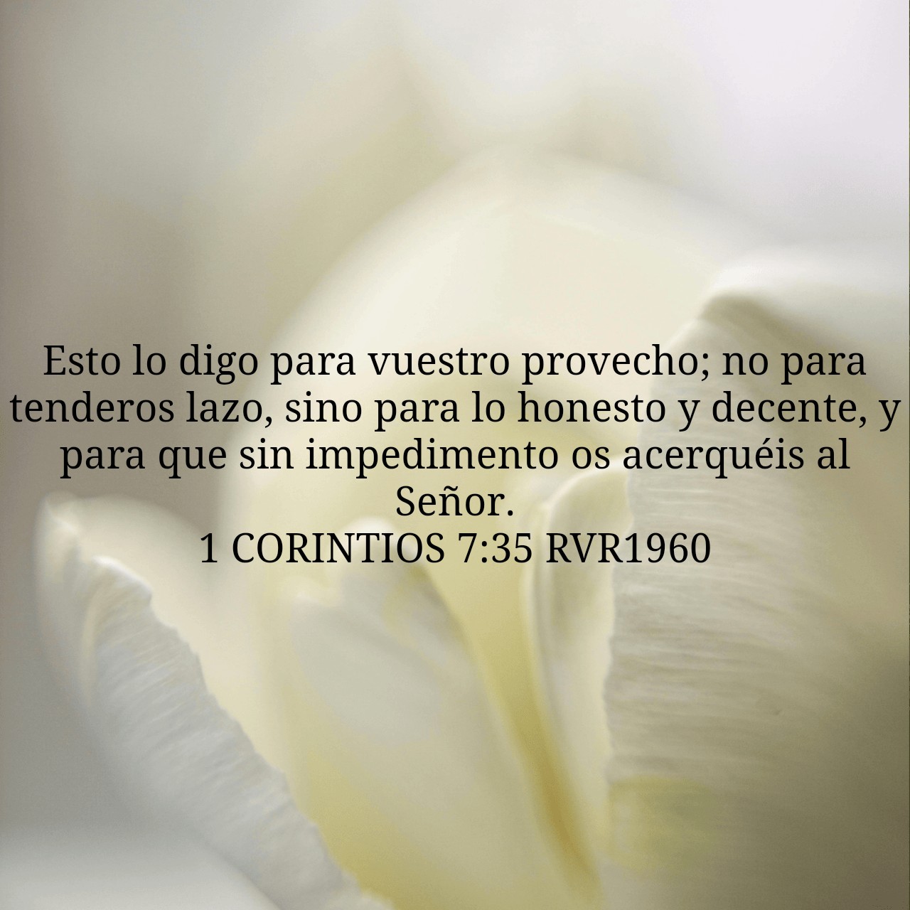 1 Corintios 7:35.jpg