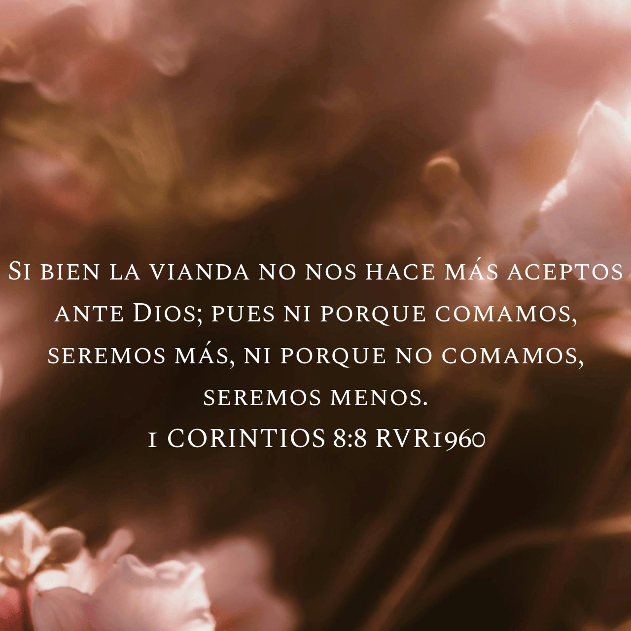 1 Corintios 8:8.jpg