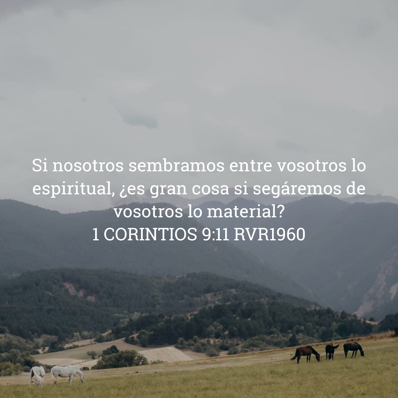 1 Corintios 9:11.jpg