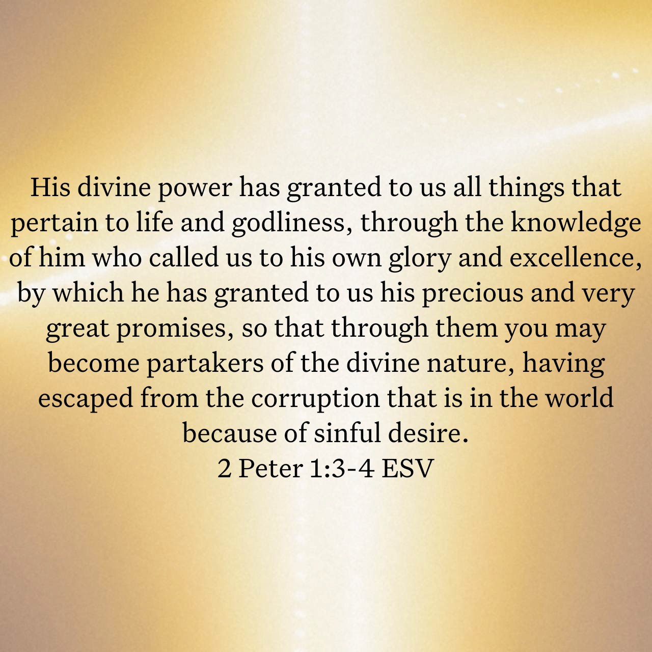 2 Peter 1:3-4.jpg