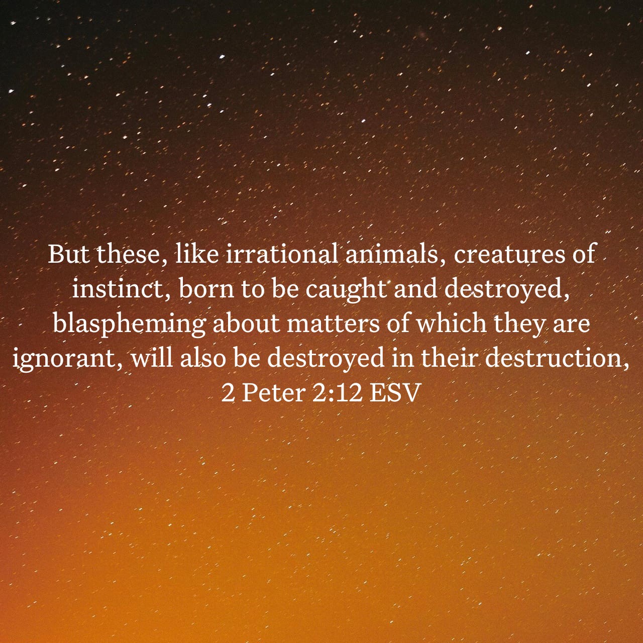 2 Peter 2:12.jpg