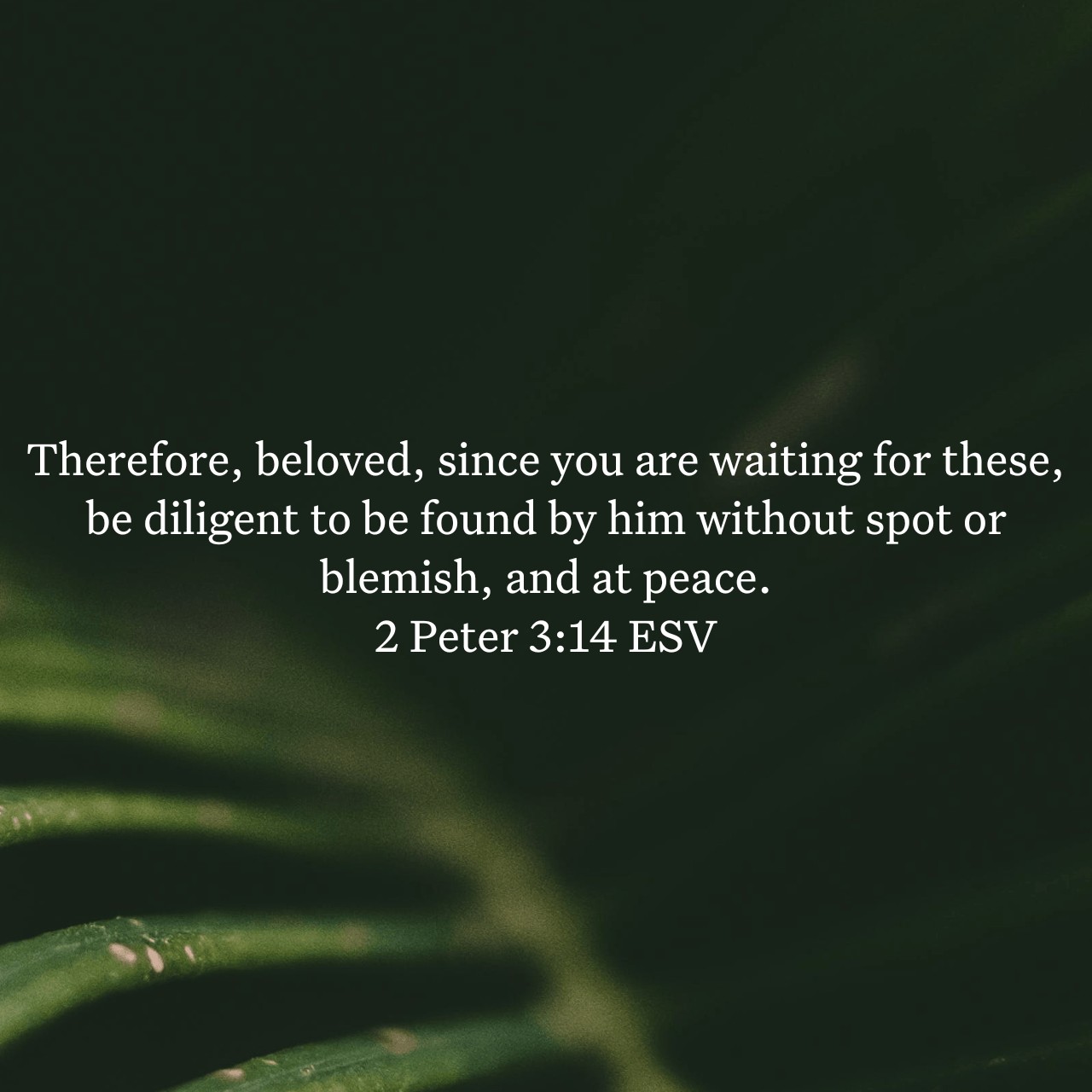 2 Peter 3:14.jpg